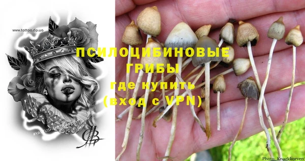 прущий лед Абдулино