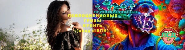 молекула духа Абинск