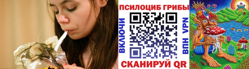 Галлюциногенные грибы Psilocybe  наркота  Тула 